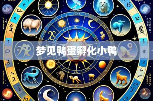 梦见鸭蛋孵化小鸭