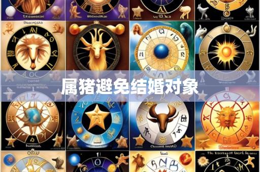 属猪避免结婚对象