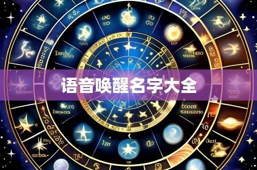 语音唤醒名字大全