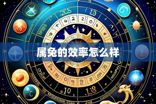 属兔的效率怎么样