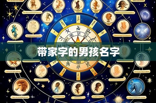 带家字的男孩名字