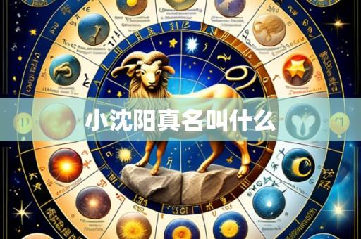小沈阳真名叫什么