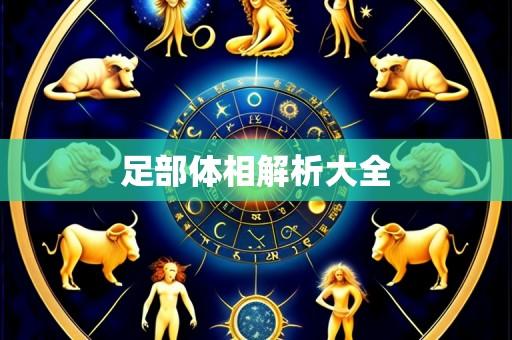 足部体相解析大全