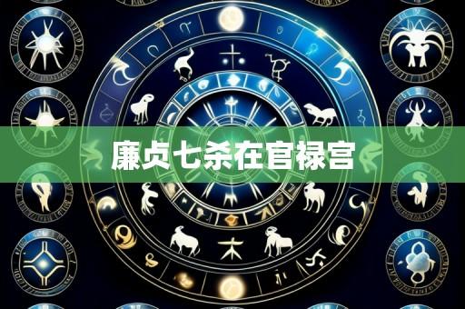 廉贞七杀在官禄宫