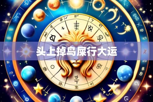 头上掉鸟屎行大运