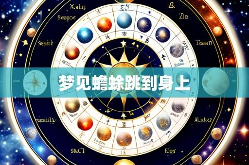 梦见蟾蜍跳到身上