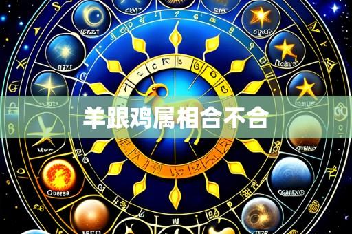 羊跟鸡属相合不合