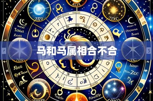 马和马属相合不合