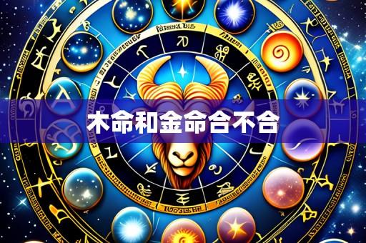 木命和金命合不合