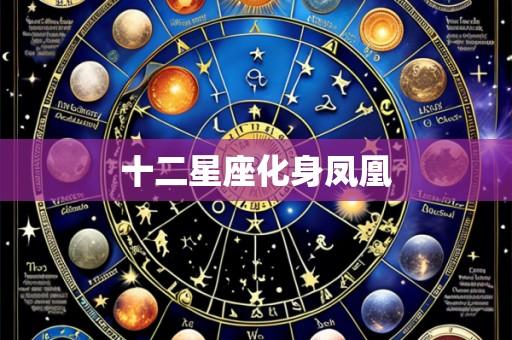 十二星座化身凤凰