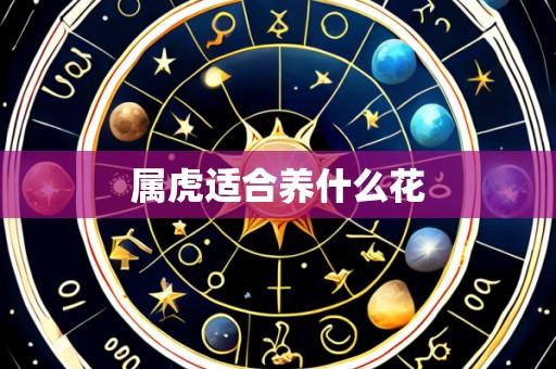 属虎适合养什么花