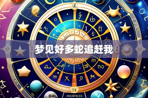 梦见好多蛇追赶我