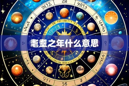 耄耋之年什么意思