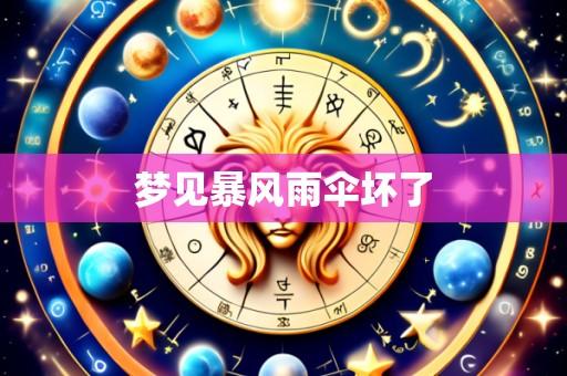 梦见暴风雨伞坏了