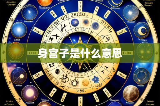 身宫子是什么意思