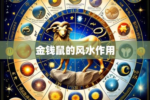 金钱鼠的风水作用