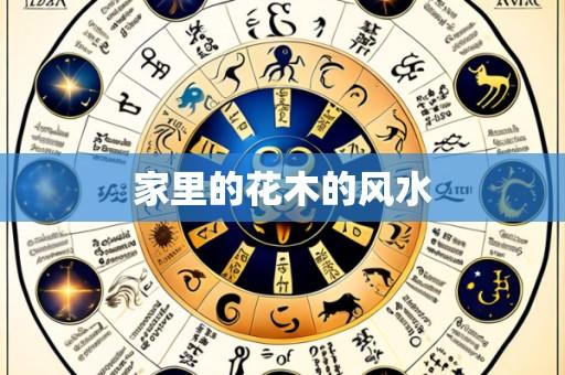 家里的花木的风水