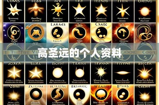 高圣远的个人资料