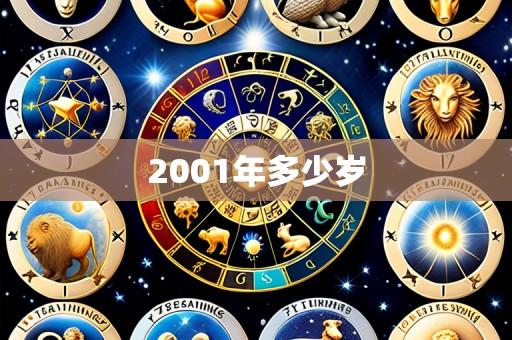 2001年多少岁