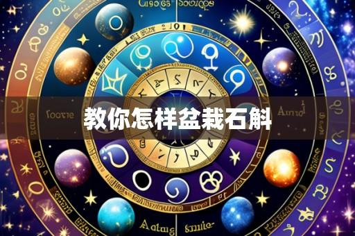 教你怎样盆栽石斛