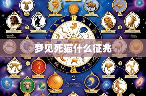 梦见死猫什么征兆