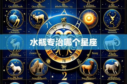 水瓶专治哪个星座