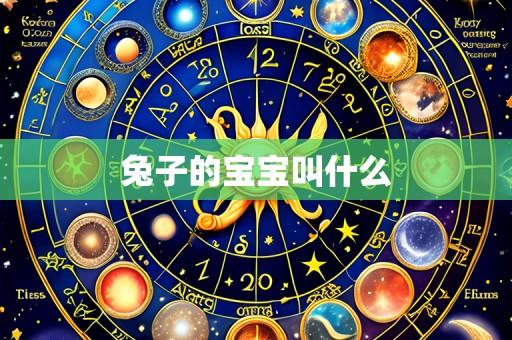 兔子的宝宝叫什么