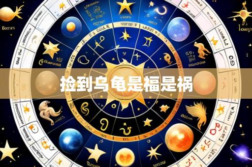 捡到乌龟是福是祸