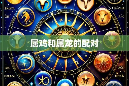 属鸡和属龙的配对