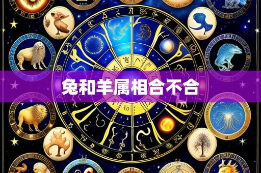 兔和羊属相合不合