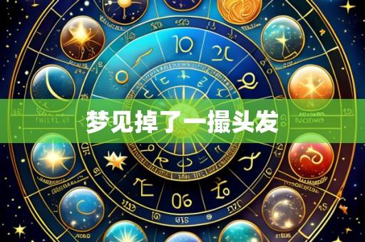 梦见掉了一撮头发