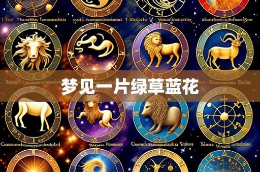 梦见一片绿草蓝花