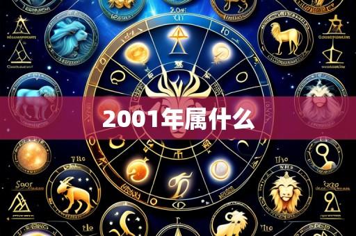2001年属什么