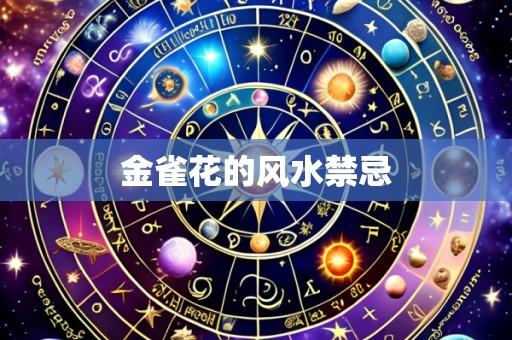 金雀花的风水禁忌