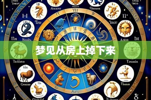 梦见从房上掉下来