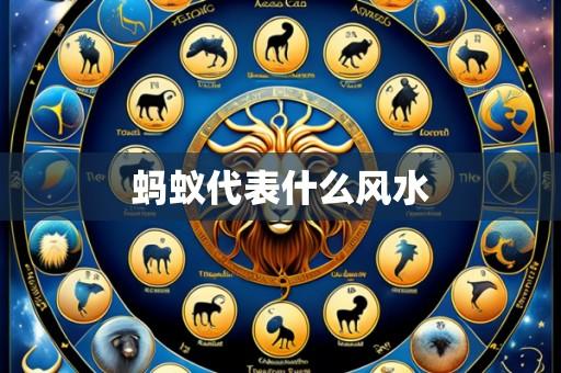 蚂蚁代表什么风水