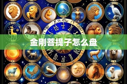 金刚菩提子怎么盘