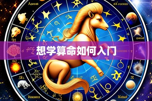 想学算命如何入门