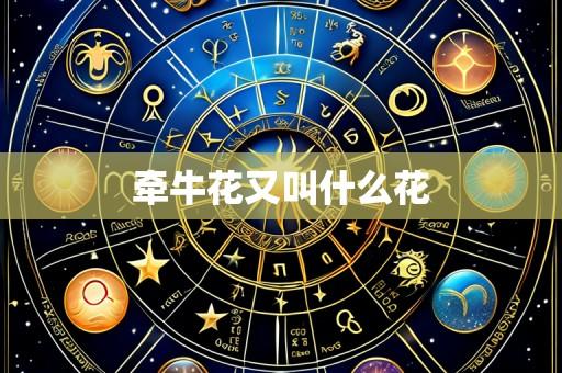 牵牛花又叫什么花