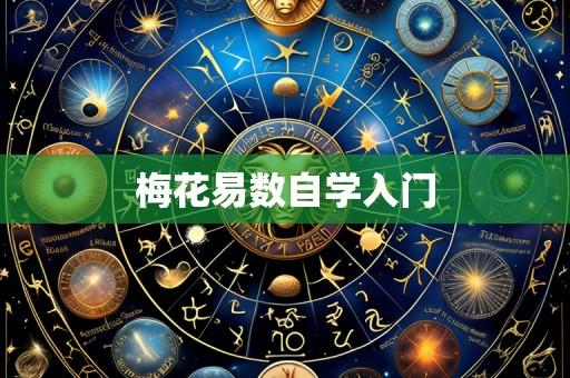 梅花易数自学入门