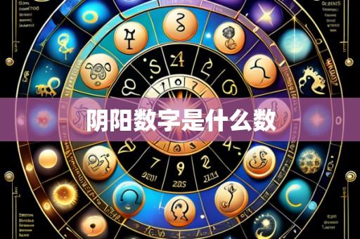 阴阳数字是什么数