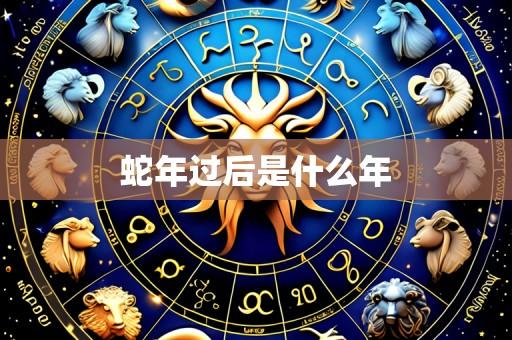 蛇年过后是什么年