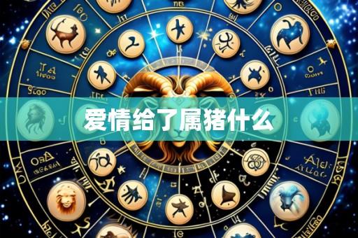 爱情给了属猪什么