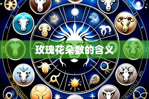 玫瑰花朵数的含义