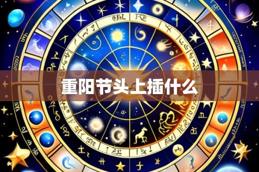 重阳节头上插什么