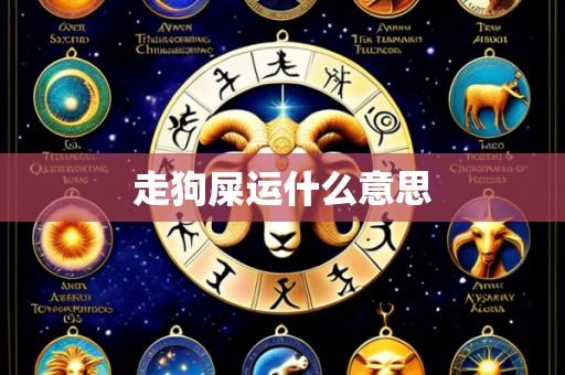 走狗屎运什么意思