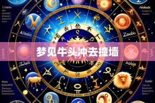 梦见牛头冲去撞墙