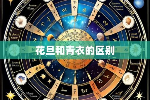 花旦和青衣的区别