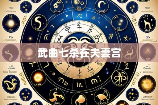 武曲七杀在夫妻宫