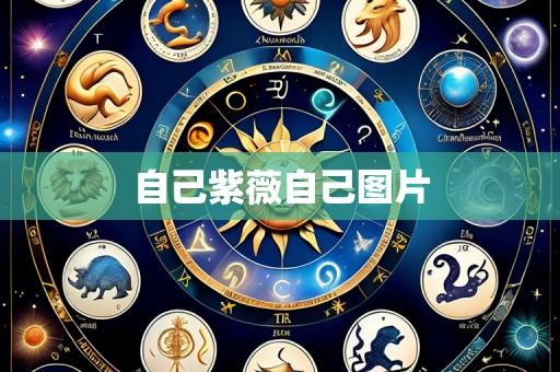 自己紫薇自己图片